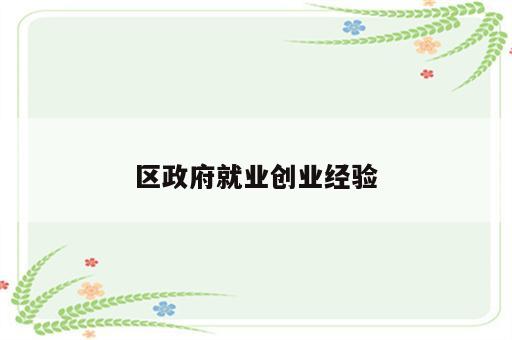 区政府就业创业经验