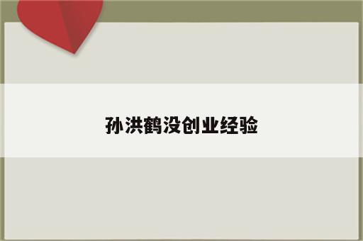 孙洪鹤没创业经验