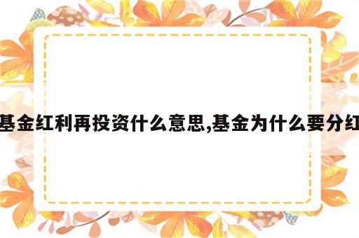 基金红利再投资什么意思,基金为什么要分红