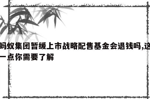 蚂蚁集团暂缓上市战略配售基金会退钱吗,这一点你需要了解