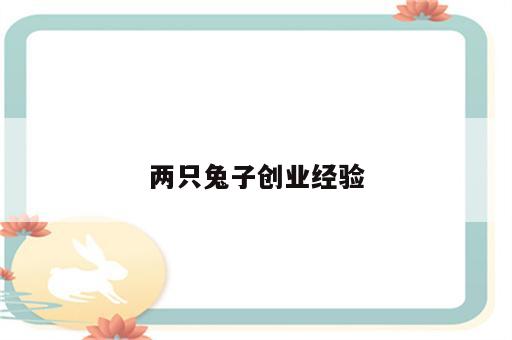 两只兔子创业经验