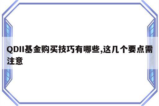 QDII基金购买技巧有哪些,这几个要点需注意
