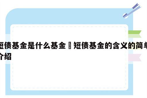短债基金是什么基金 短债基金的含义的简单介绍