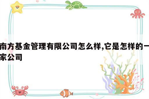 南方基金管理有限公司怎么样,它是怎样的一家公司