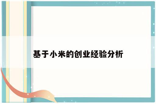 基于小米的创业经验分析