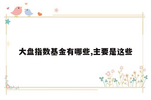 大盘指数基金有哪些,主要是这些