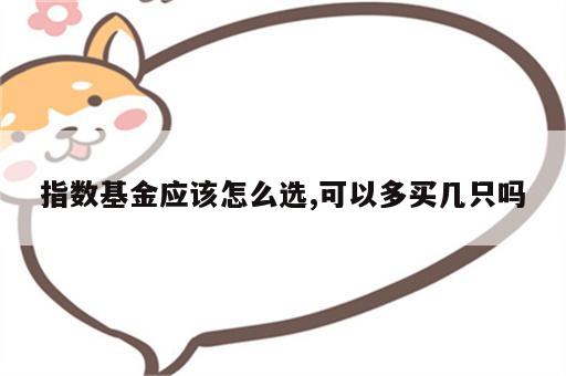 指数基金应该怎么选,可以多买几只吗