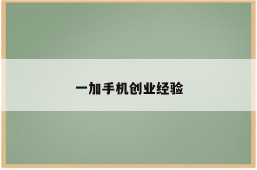 一加手机创业经验