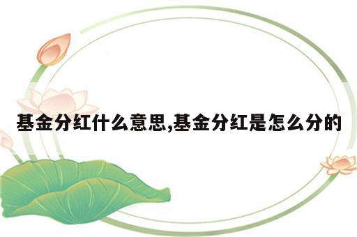基金分红什么意思,基金分红是怎么分的