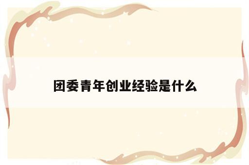 团委青年创业经验是什么