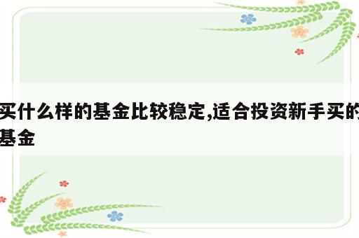 买什么样的基金比较稳定,适合投资新手买的基金