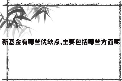新基金有哪些优缺点,主要包括哪些方面呢