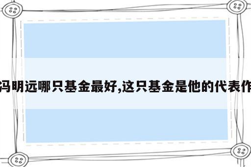 冯明远哪只基金最好,这只基金是他的代表作