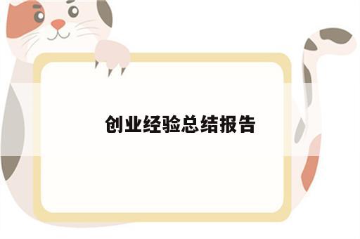 创业经验总结报告