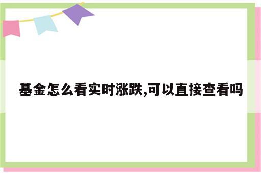 基金怎么看实时涨跌,可以直接查看吗