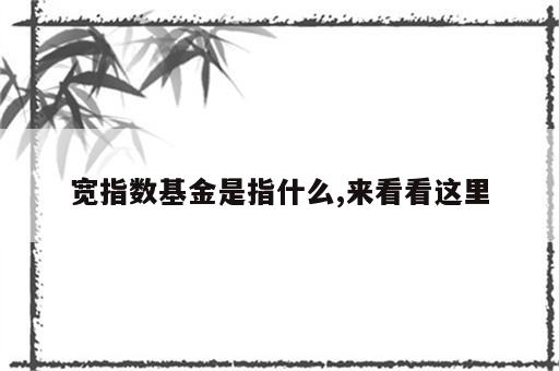 宽指数基金是指什么,来看看这里