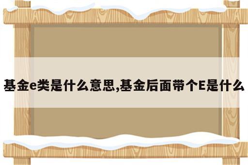 基金e类是什么意思,基金后面带个E是什么