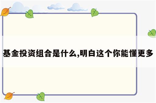 基金投资组合是什么,明白这个你能懂更多