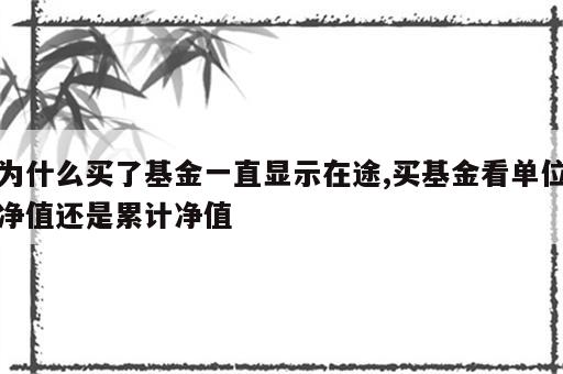 为什么买了基金一直显示在途,买基金看单位净值还是累计净值