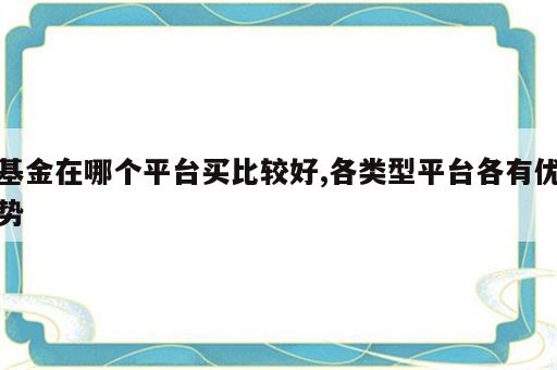 基金在哪个平台买比较好,各类型平台各有优势