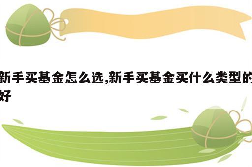 新手买基金怎么选,新手买基金买什么类型的好