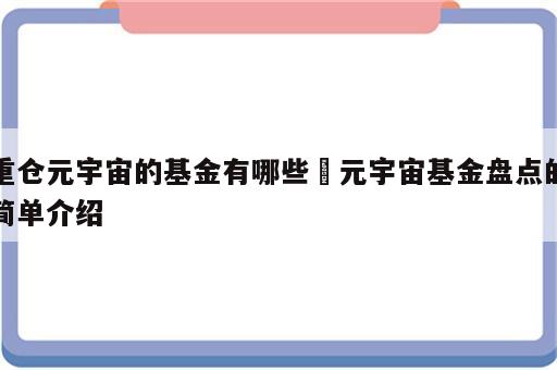 重仓元宇宙的基金有哪些 元宇宙基金盘点的简单介绍