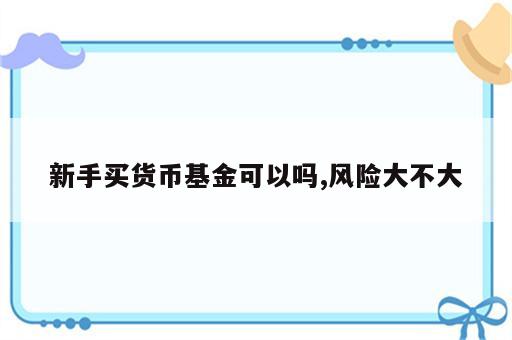新手买货币基金可以吗,风险大不大