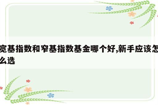 宽基指数和窄基指数基金哪个好,新手应该怎么选