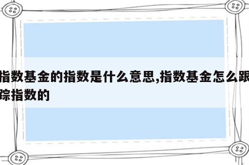 指数基金的指数是什么意思,指数基金怎么跟踪指数的