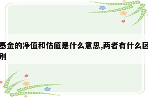 基金的净值和估值是什么意思,两者有什么区别