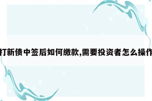 打新债中签后如何缴款,需要投资者怎么操作