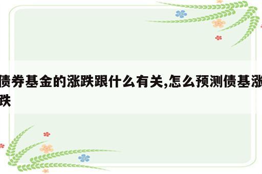 债券基金的涨跌跟什么有关,怎么预测债基涨跌