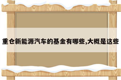 重仓新能源汽车的基金有哪些,大概是这些