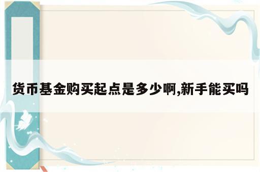 货币基金购买起点是多少啊,新手能买吗