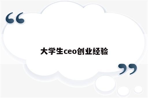 大学生ceo创业经验