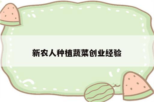新农人种植蔬菜创业经验
