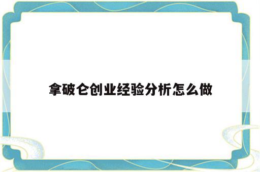 拿破仑创业经验分析怎么做