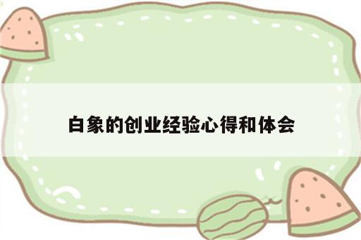 白象的创业经验心得和体会