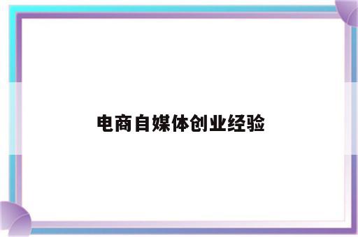 电商自媒体创业经验