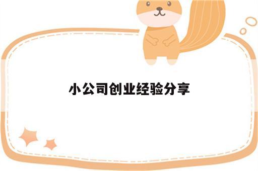 小公司创业经验分享