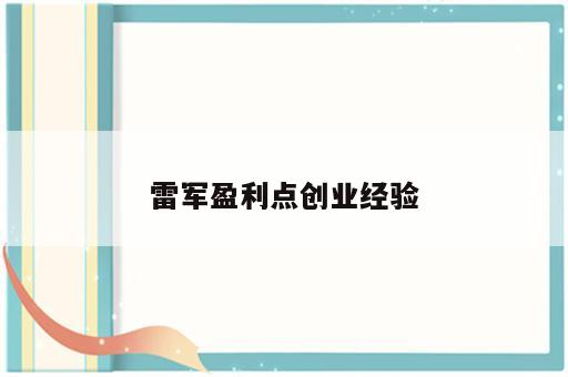 雷军盈利点创业经验