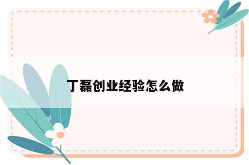 丁磊创业经验怎么做